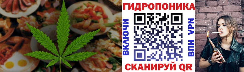 как найти закладки Балашов Печенье с ТГК конопля