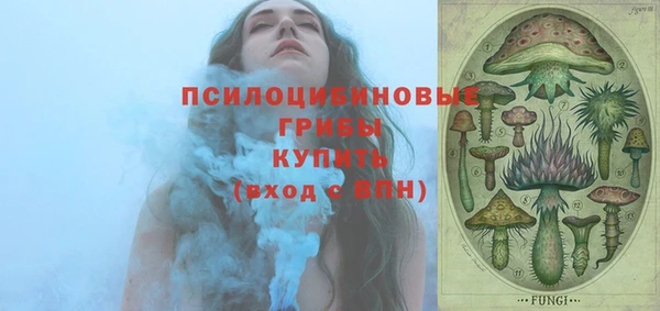 круглые Алзамай