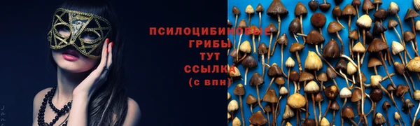 mix Алексин