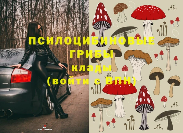 mix Алексин