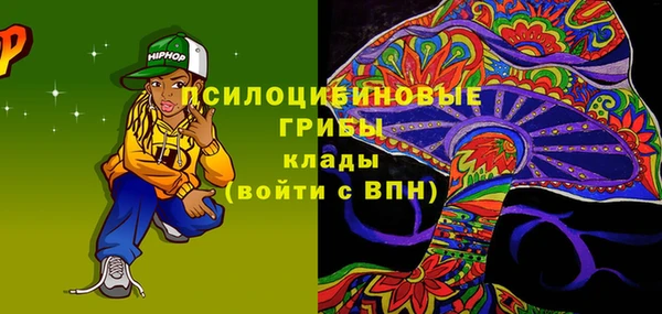 круглые Алзамай