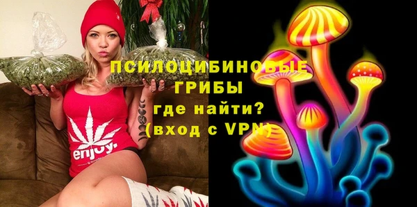 mix Алексин