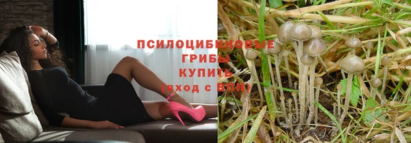 круглые Алзамай