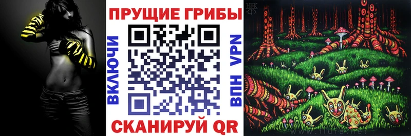 hydra вход  Балашов  Псилоцибиновые грибы MAGIC MUSHROOMS  цена  